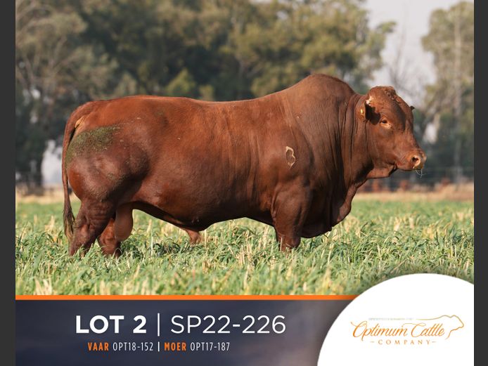 SP  220226