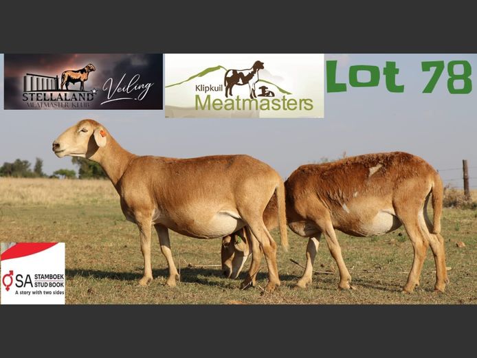 JAD1059 | Klipkuil Meatmasters