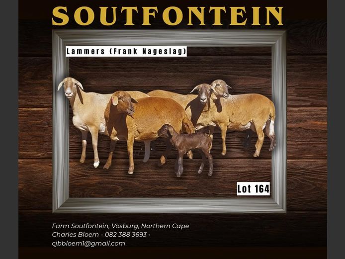 CB 240074 | SOUTFONTEIN MEATMASTERS