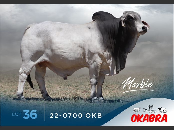 22-0700 OKB