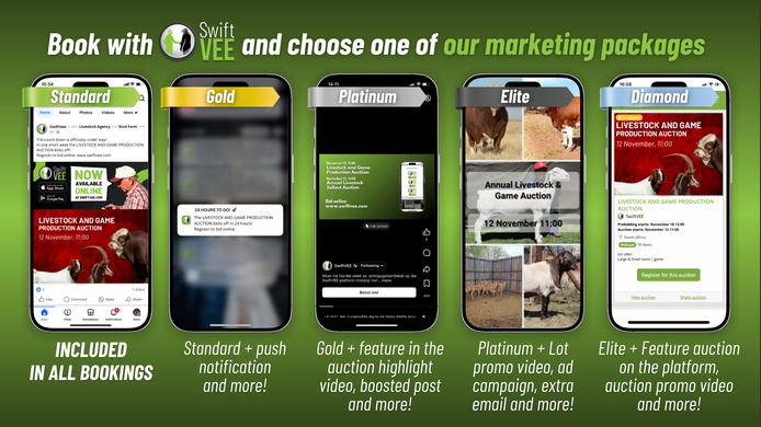 Products and Services