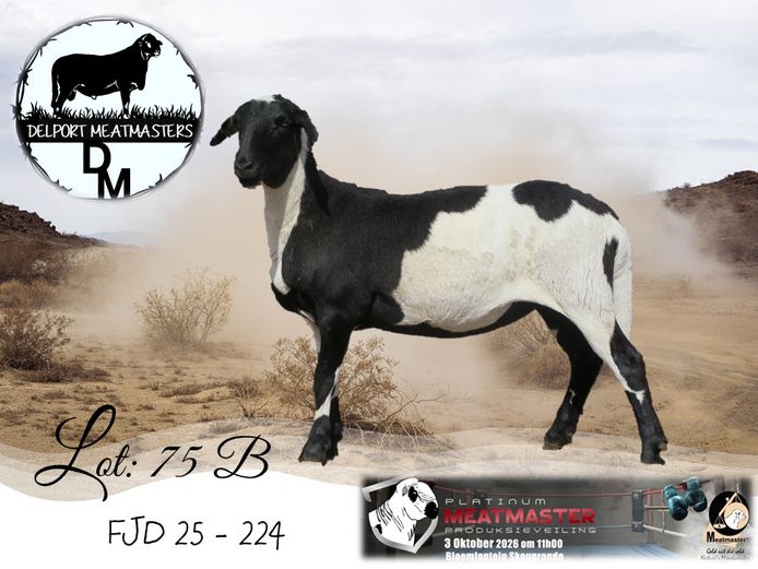 FJD 25-224 | Delport Boerdery