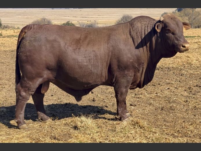 SP 230100 | PINEKLOOF TRUST