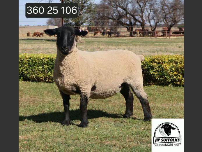 360250106 | J.I. POTGIETER
