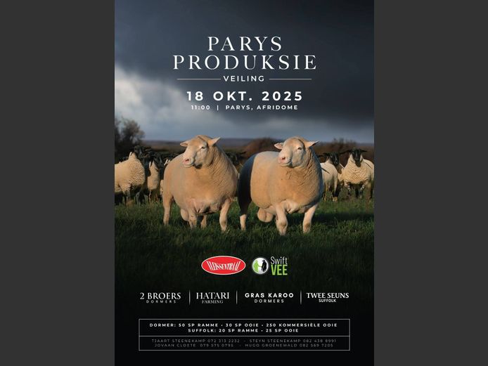 PARYS PRODUKSIE VEILING