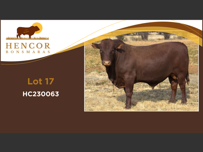 HC  230063 | HENCOR BOERDERY