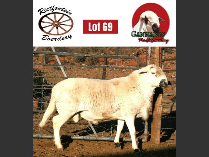 RFB24-383 | Rietfontein Boerdery