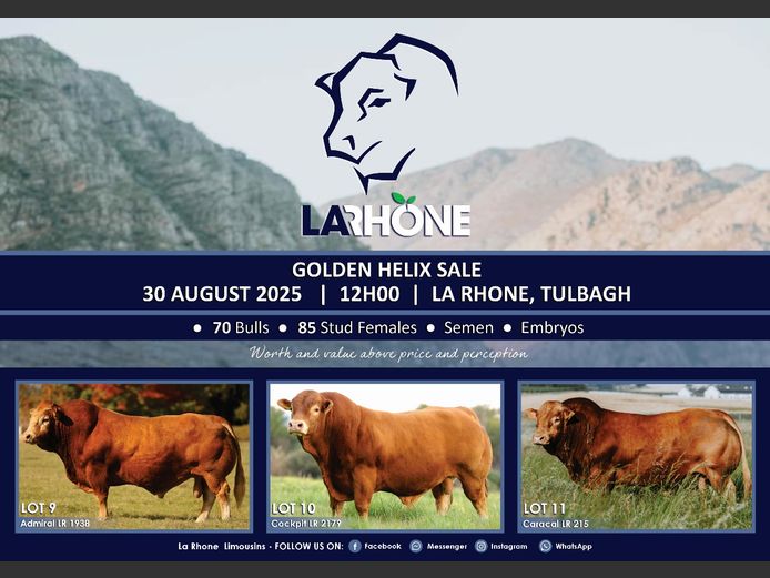 LA RHONE LIMOUSINS GOLDEN HELIX SALE
