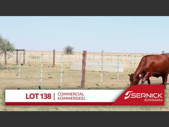 Commercial Animals