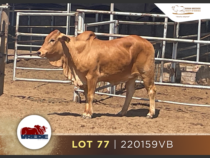 22-0159VB | VREDE BORANS