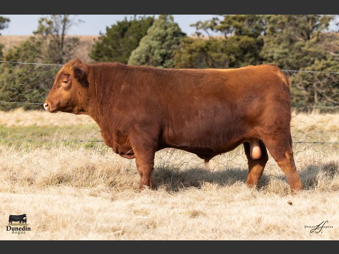 KCM 230109 | TABLE HILL FARMING PTY LTD