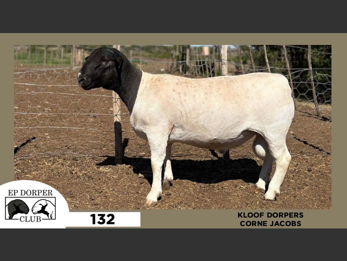 132  |  CORNE JACOBS - KLOOF DORPERS
