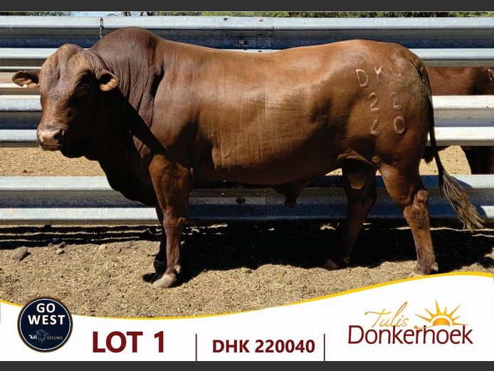 DKH 220040 | DONKERHOEK BOERDERY TRUST
