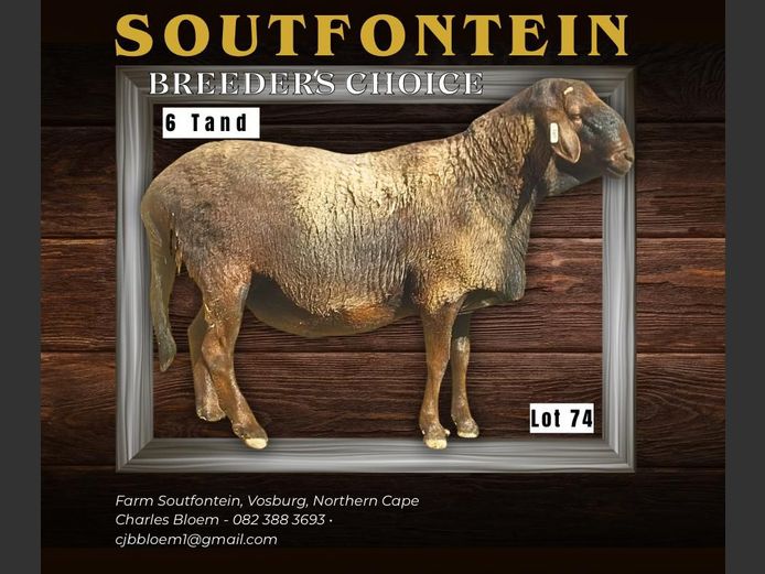 CB 230040 | SOUTFONTEIN MEATMASTERS