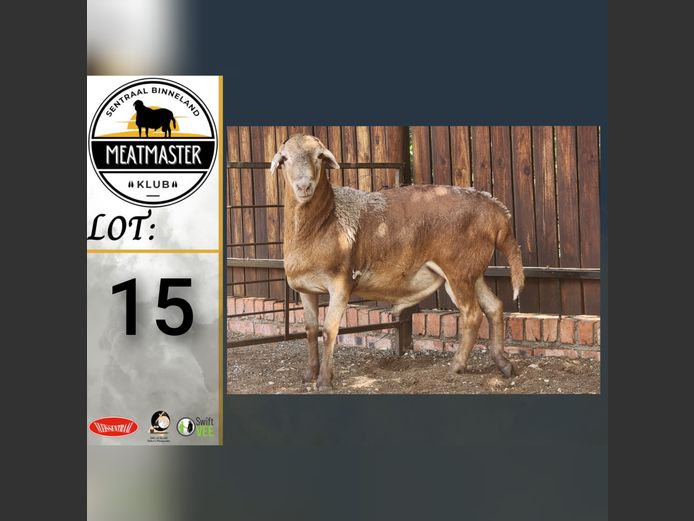 Ram | Ja-Nee Boerdery