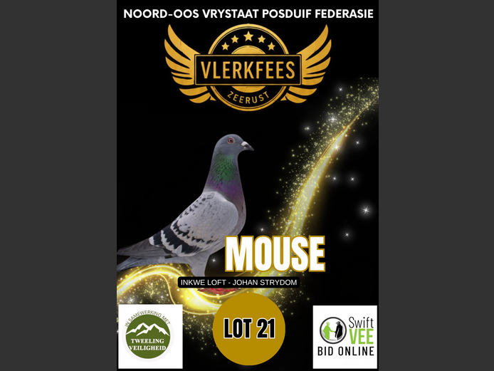 MOUSE | INKWE LOFT - JOHAN STRYDOM