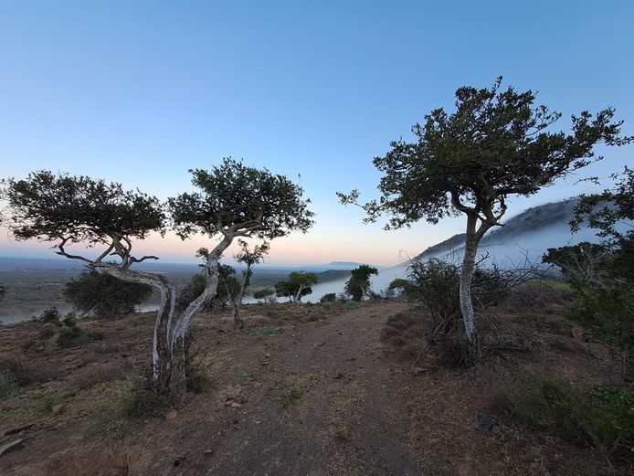 Walk and stalk hunt for a kudu. 2026 Hunting season | Blakeridge Farm