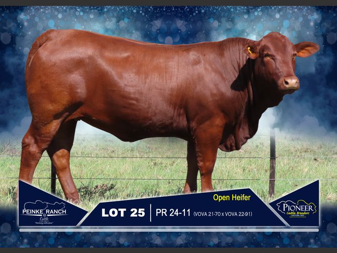 PR 240011 | PEINKE RANCH