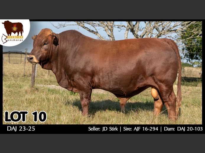 DAJ 230025 | J.D. STIRK