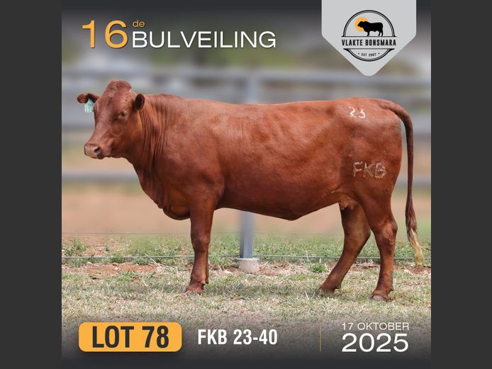 FKB 230040 | FRITS KROON BOERDERY