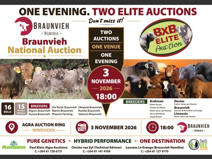 BXB ELITE AUCTION