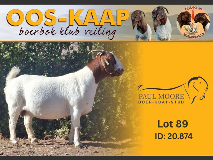 20 - 874 | Paul Moore