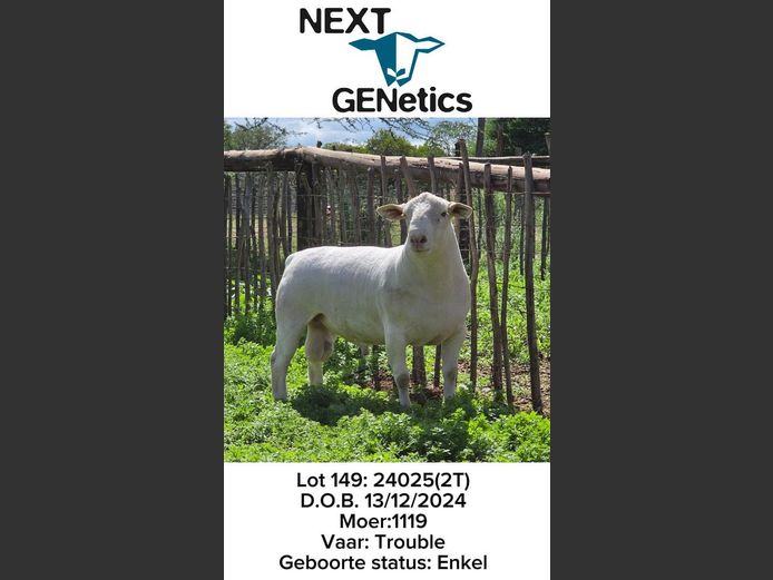 24025 | NEXT GENETICS