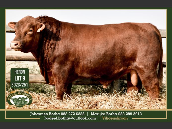 BD 230251 | BODEEL BOERDERY