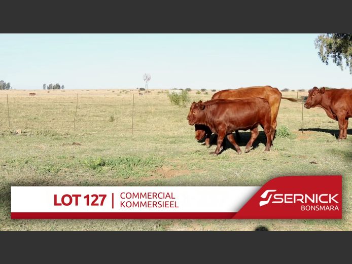 Commercial Animals