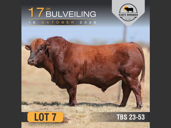 TBS230053 | THABA KWENA BONSMARAS