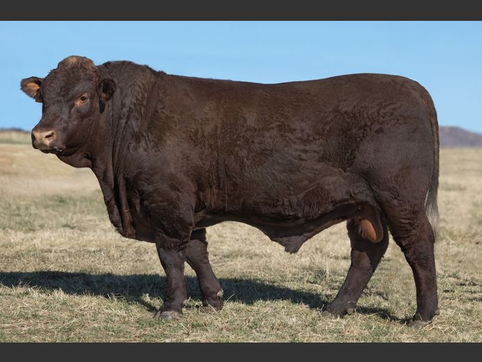 TZ 230107 | FAURZYL FARMING (PTY) LTD