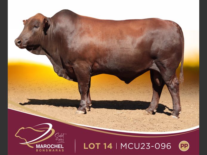 MCU 230096