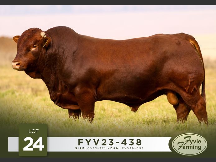 FYV23-438 | Fyvie