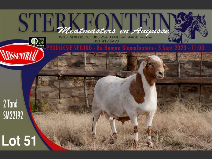 SM 22 192 | Sterkfontein Meatmasters