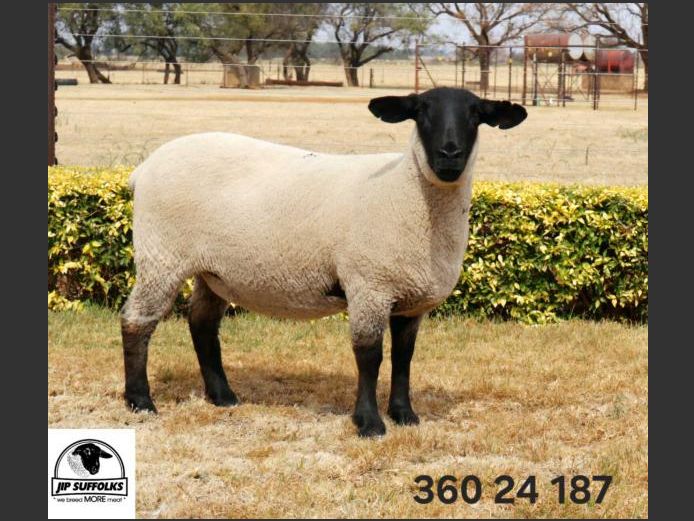 360240187 | J.I. POTGIETER