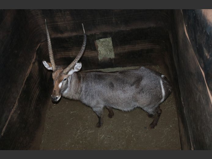 WATERBOK