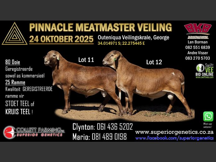 CC  240025 | COLLETT FARMING CC