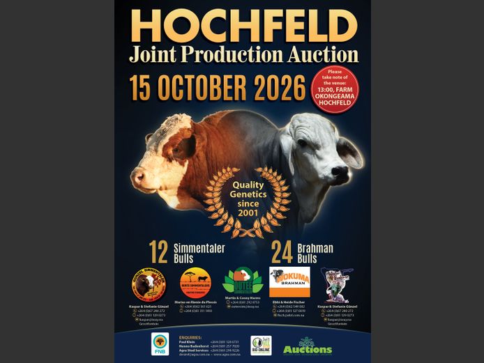 HOCHFELD JOINT PRODUCTION AUCTION