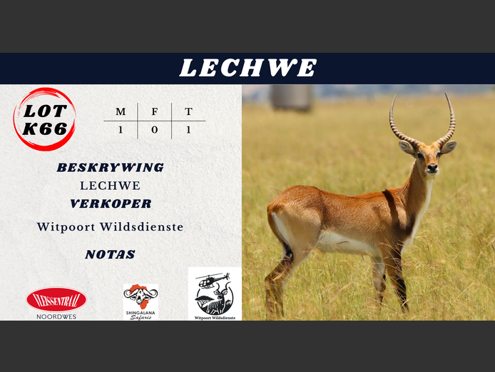 LECHWE