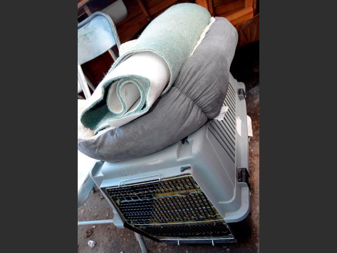 PET CARRIER, DOGGIE BED, etc