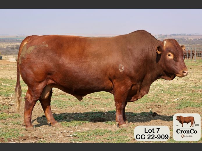 CC 220909 | CRONCO AGRI