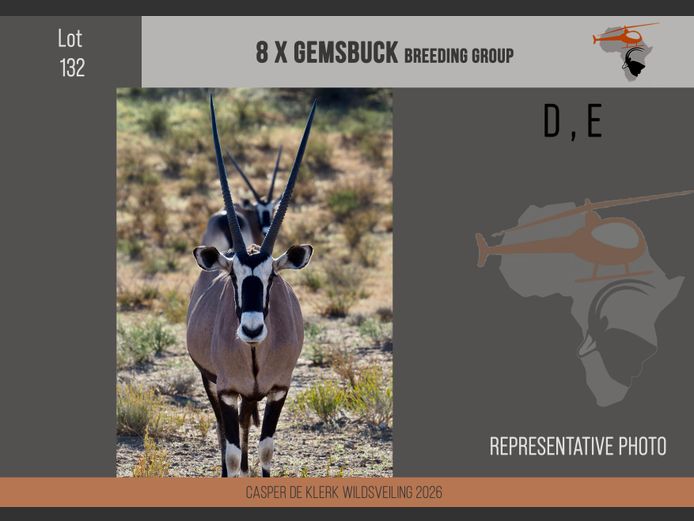 Gemsbuck