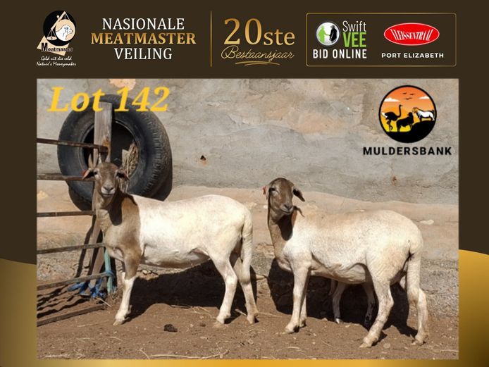 25-54 | Muldersbank Meatmasters