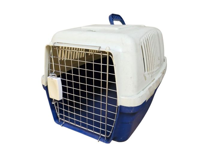 Medium Sized Pet Carrier