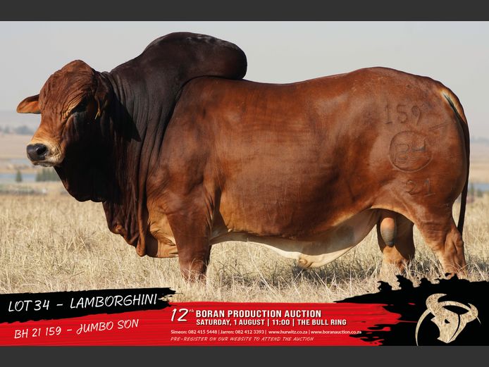 BH 210159 | HURWITZ FARMING