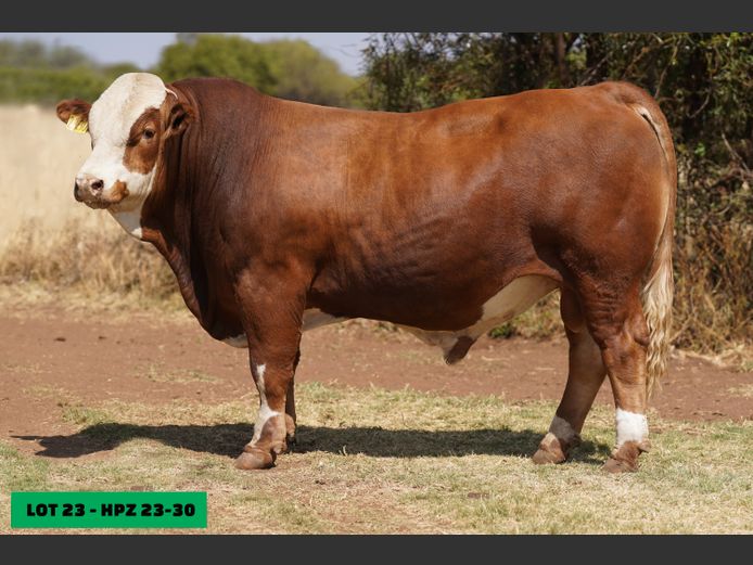 HPZ2330 | JP DU PREEZ BK