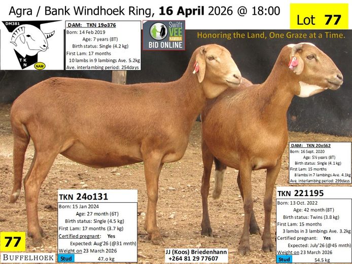 240131TKN | 221195TKN | KOOS BRIEDENHANN