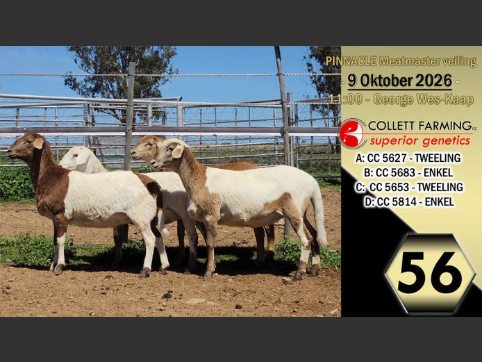 CC250683 | COLLETT FARMING CC