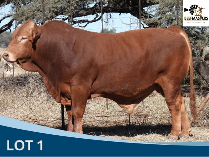 HS 220018 | G.A. STEENKAMP