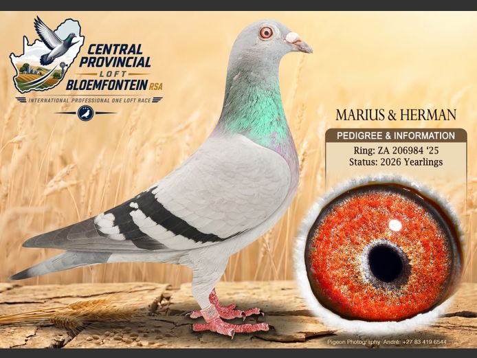 ZA 206984 2025 | MARIUS & HERMAN